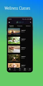 Milletfy screenshot 11