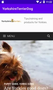 YorkshireTerrier.Dog screenshot 0