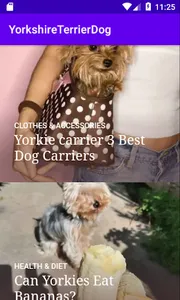 YorkshireTerrier.Dog screenshot 1