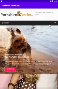 YorkshireTerrier.Dog screenshot 2