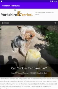 YorkshireTerrier.Dog screenshot 3
