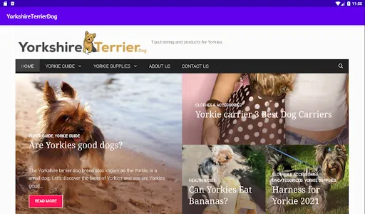 YorkshireTerrier.Dog screenshot 4