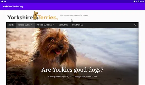 YorkshireTerrier.Dog screenshot 5