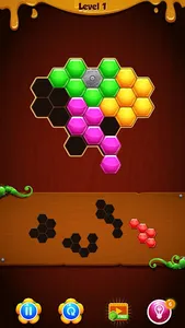 Hexa Puzzle Box screenshot 1