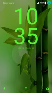 Green Xperia Theme screenshot 0