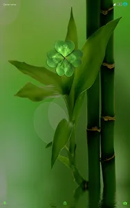 Green Xperia Theme screenshot 12