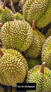 Durian wallpaper screenshot 0