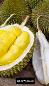 Durian wallpaper screenshot 1