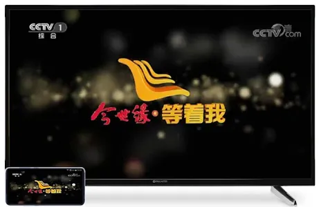 外虎网络电视YhoTV-CCTV央视卫视香港澳门台湾海外电视 screenshot 17