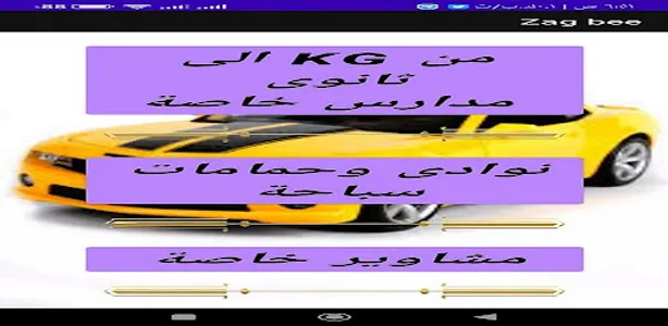 zag bee screenshot 0
