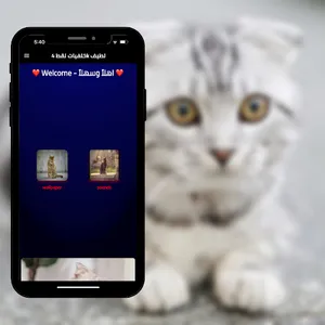 خلفيات لقط 4k لطيف screenshot 2
