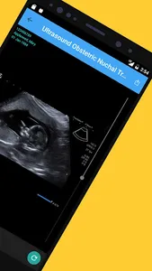 Alpenglow Patient Portal screenshot 2