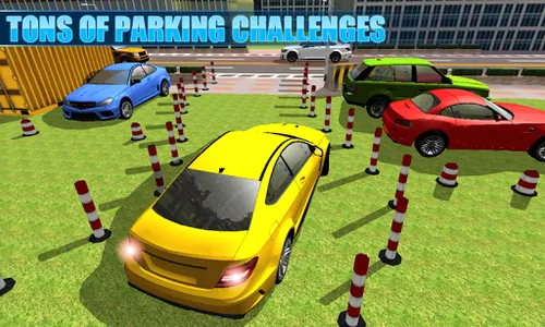 Car Parking Car Driving Sim 3D screenshot 2