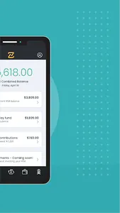 Zenda HSA screenshot 1