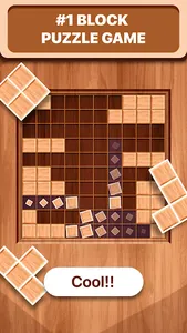 Wood Block - Puzzle game screenshot 0