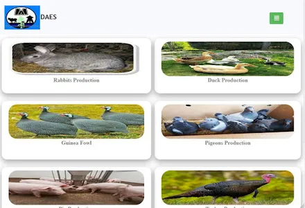 DAES_V2 screenshot 12