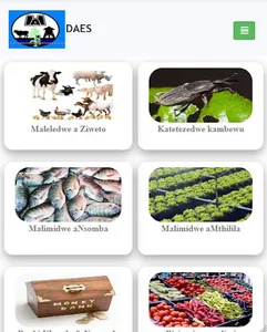 DAES_V2 screenshot 7
