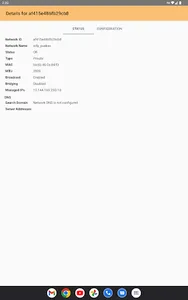 ZeroTier One screenshot 8