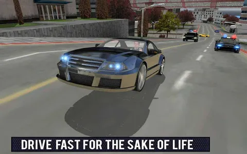 Police Car Gangster Escape Sim screenshot 6