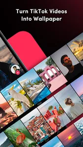 TickTock-TikTok Live Wallpaper screenshot 1