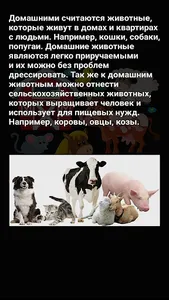 Pets screenshot 1