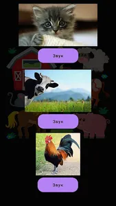 Pets screenshot 2