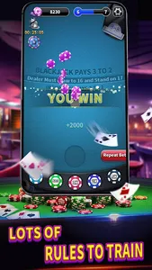 BlackJack 21 lite offline game screenshot 3