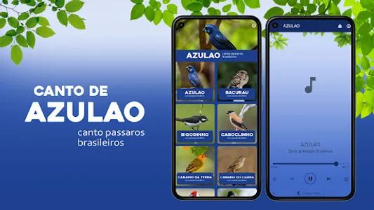 Canto de Azulão screenshot 0