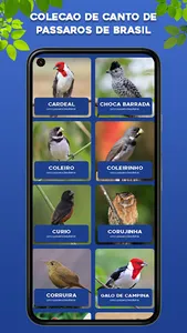 Canto de Azulão screenshot 1