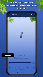 Canto de Azulão screenshot 4