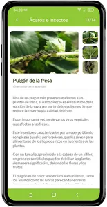 Hidroponia - Kultiva App screenshot 10