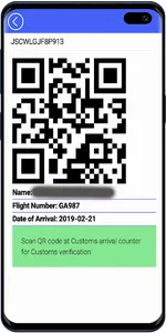 e-CD (Customs Declaration) screenshot 14