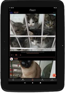 Happy Paws screenshot 16