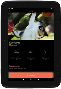Happy Paws screenshot 18