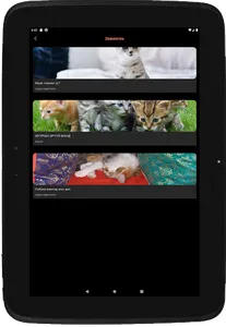 Happy Paws screenshot 20