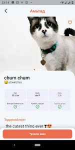 Happy Paws screenshot 5