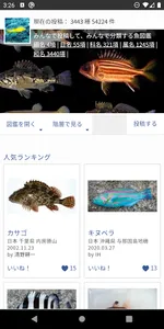 WEB魚図鑑 screenshot 0