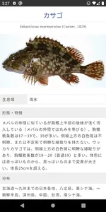 WEB魚図鑑 screenshot 1