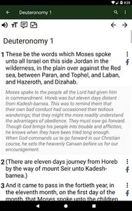 Bible commentary screenshot 19