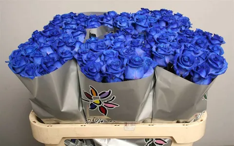 How to make bouquets of flower screenshot 4