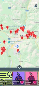 winechain.app screenshot 6