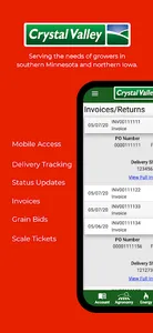 Crystal Valley screenshot 0