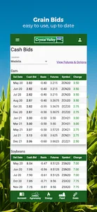 Crystal Valley screenshot 5