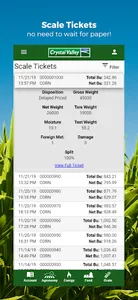 Crystal Valley screenshot 6