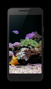 Coral Reef Aquarium Video FREE screenshot 0