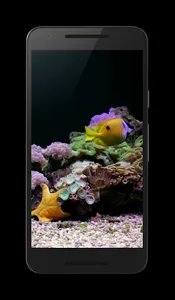 Coral Reef Aquarium Video FREE screenshot 1