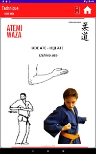 JudoBox screenshot 23