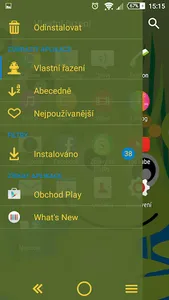 Frog Princess Theme screenshot 2
