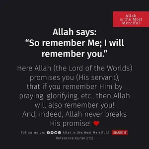 Daily Islamic Quran Messages screenshot 2