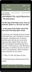 Our Lady Of Porta Vaga screenshot 3